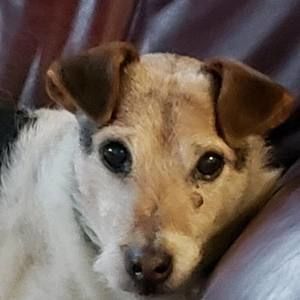 Meet your Posher, Joni